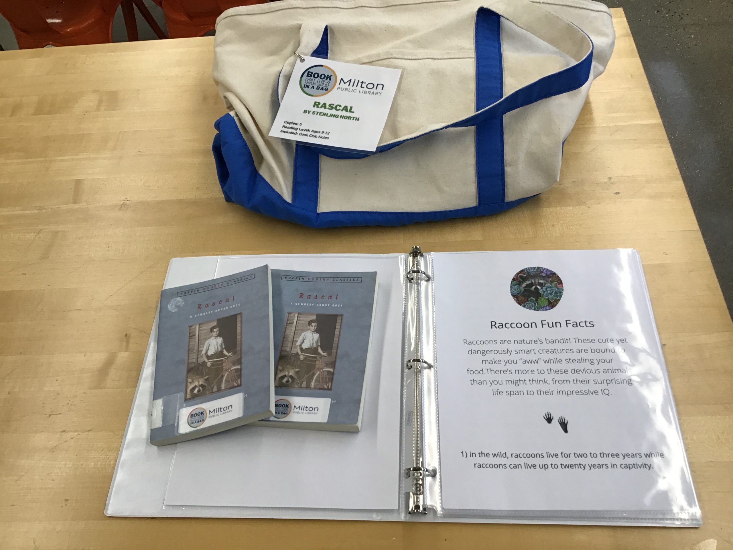 Canvas bag with two copies of the book displayed on the book club guide.