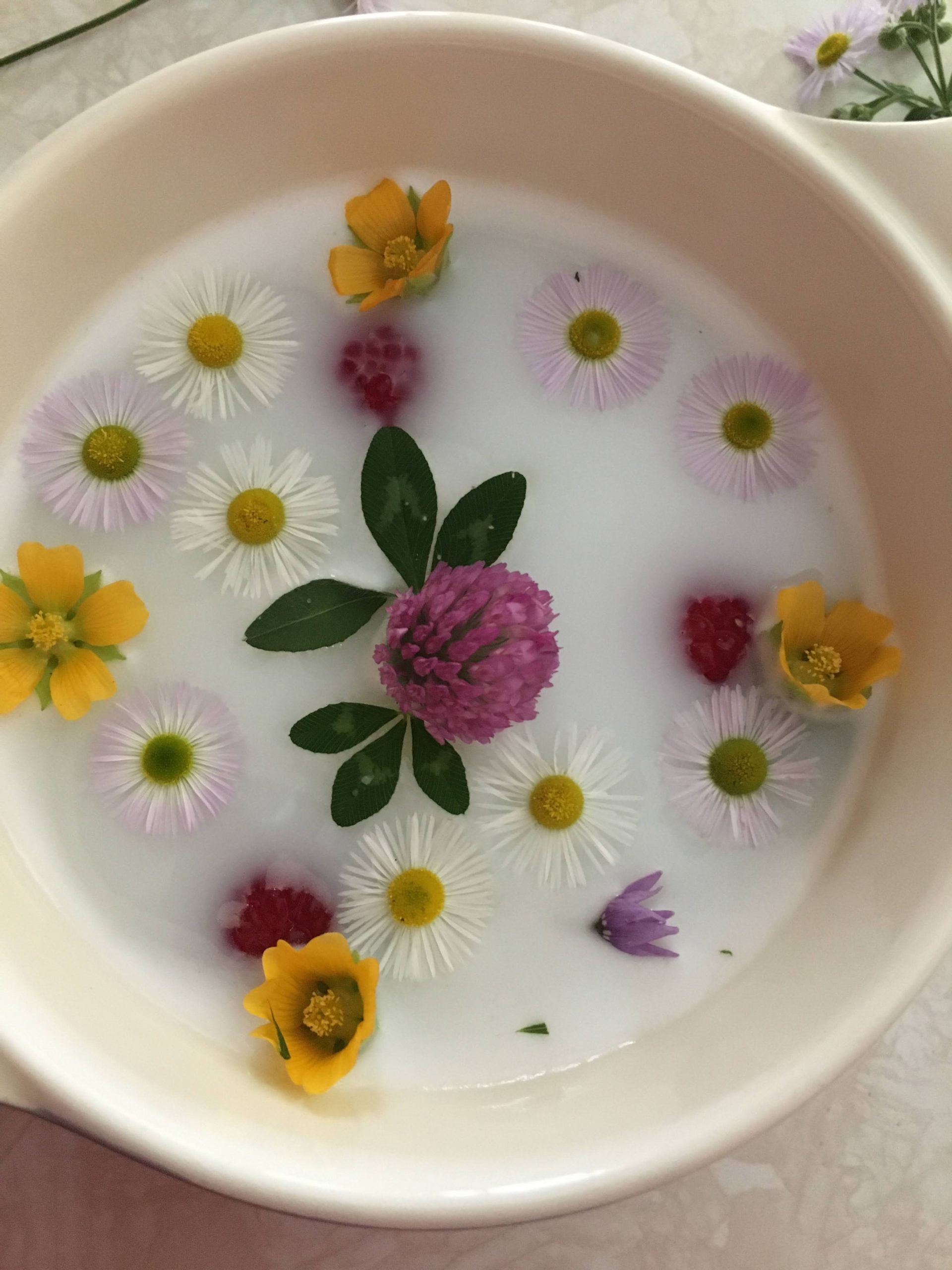 Amateur Photography Contest Milton