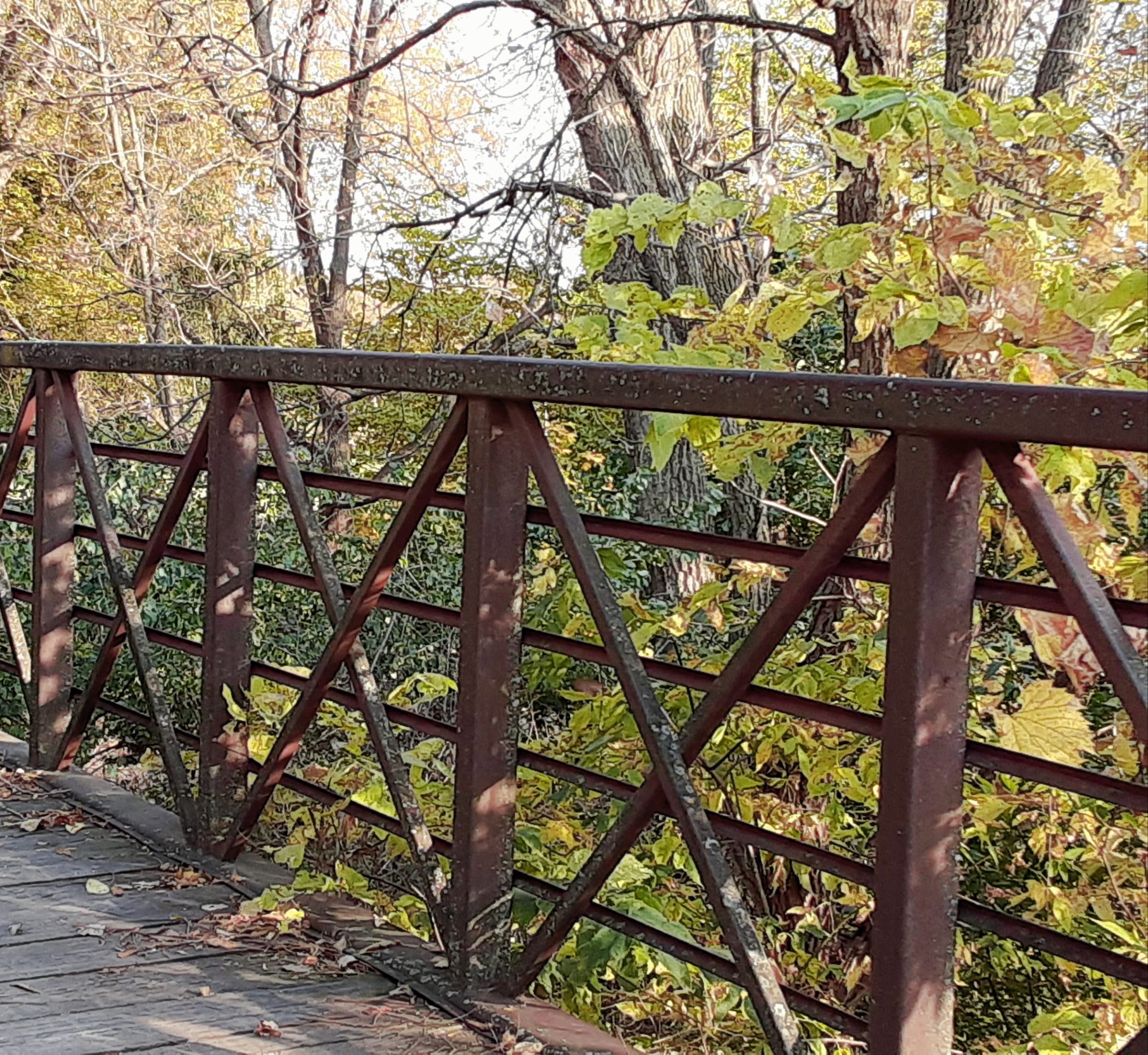 Amateur Photography Contest Milton