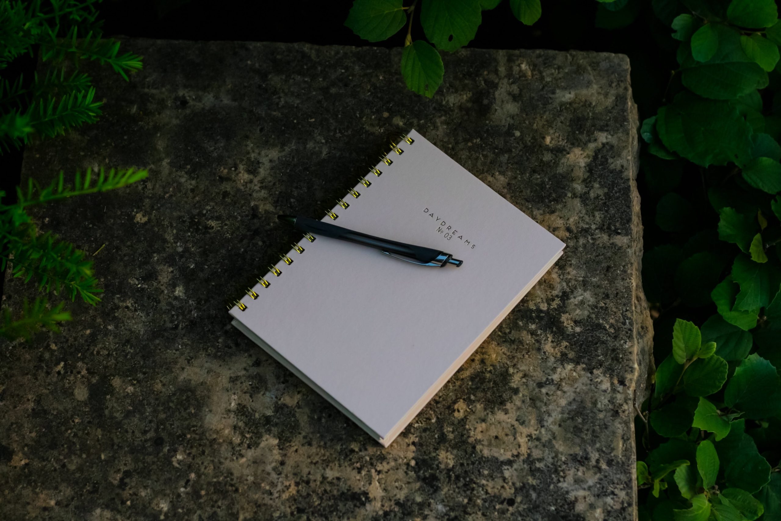 A white journal with a black pen on top of the journal, resting on top of a rock surrounded by green folliage.