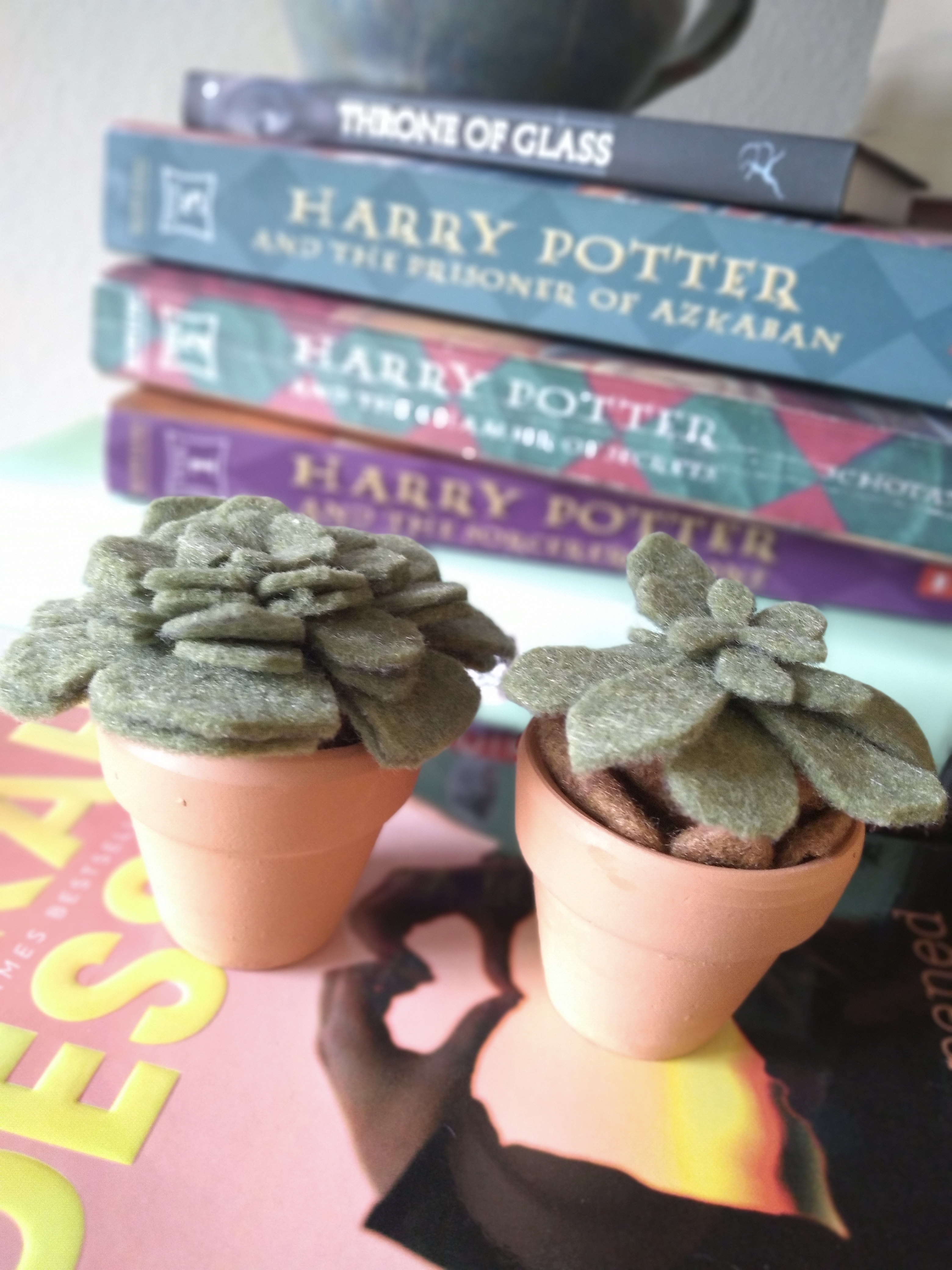 Up close image of two felt succulents inside of terra cotta pots with a background stack of books.