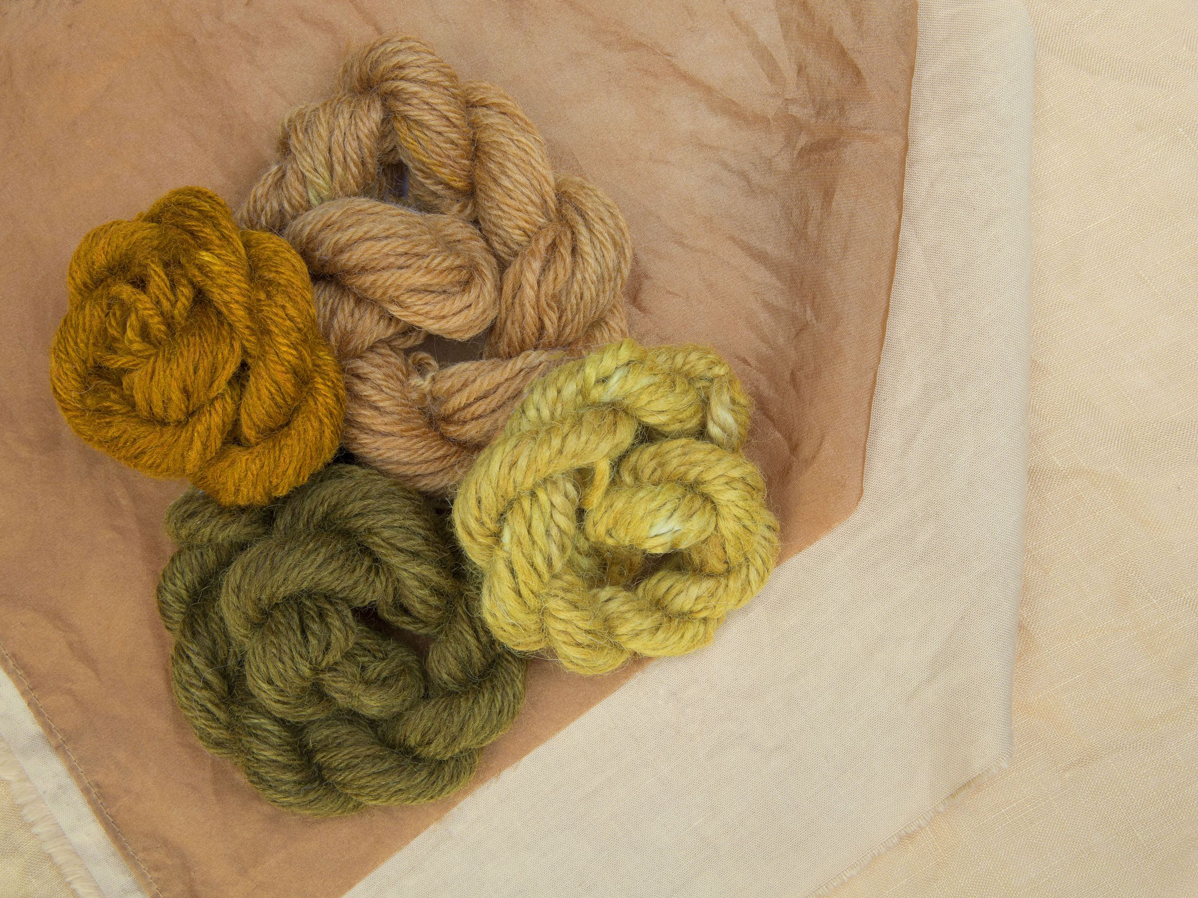Four naturally dyed yarns in earth shades of orange, green, brown, and yellow