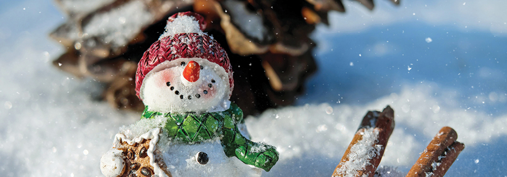 Snowman, pinecones, & cinnamon sticks