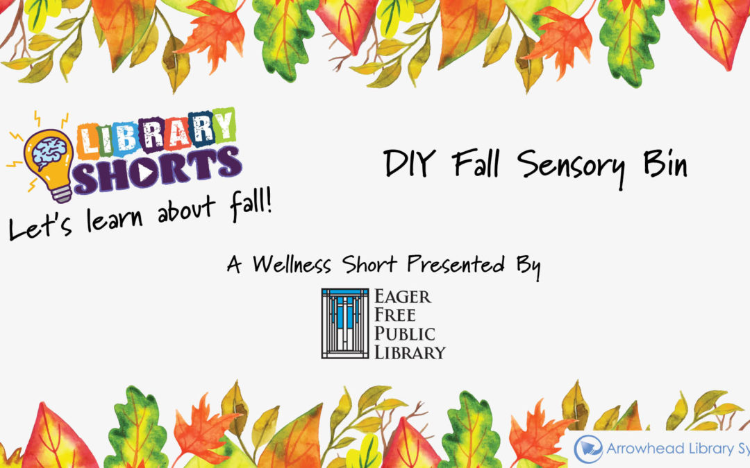 Wellness & Mindfulness: DIY Fall Sensory Bin