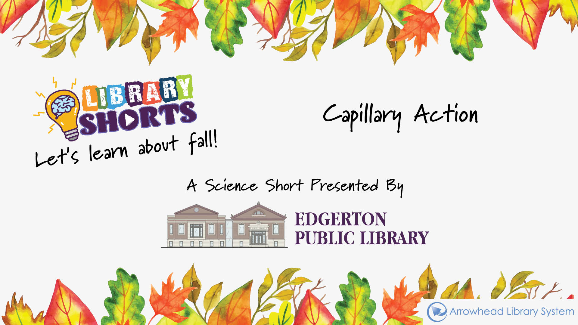 Science Capillary Action Arrowhead Library System