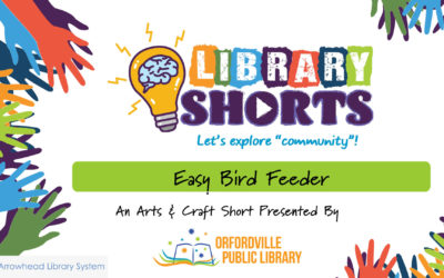 Arts & Crafts: Easy Bird Feeder