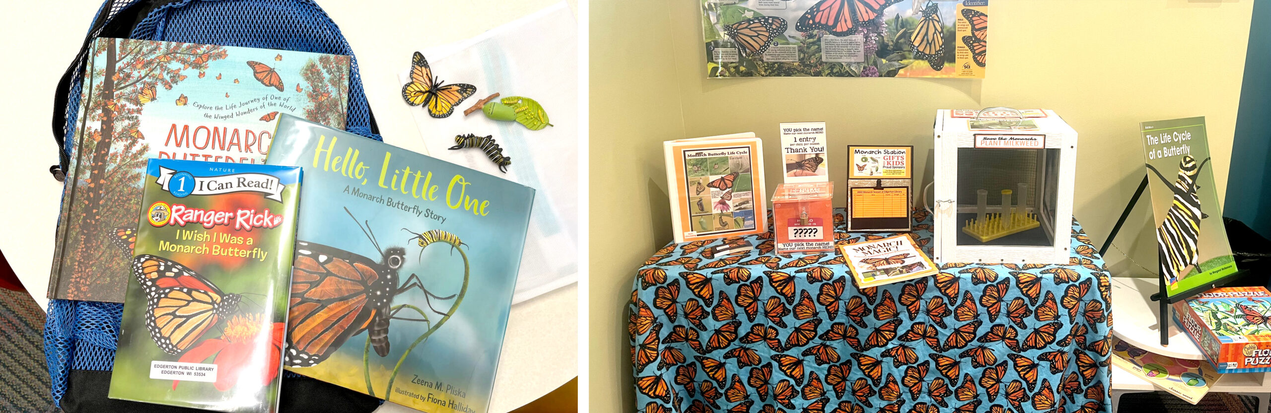 Monarch butterfly displays in the kids' area of Edgerton Public Library.